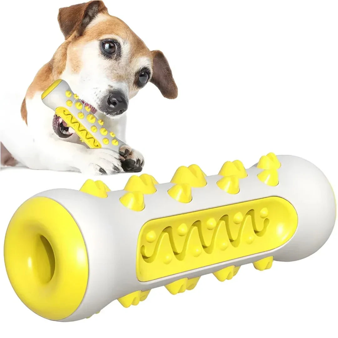 BrightBite - Your Dog's Own Toothbrush