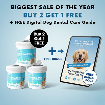 FreshWipes Kit – Protects Against Dental Diseases