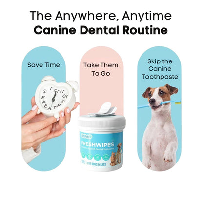 FreshWipes Kit – Protects Against Dental Diseases