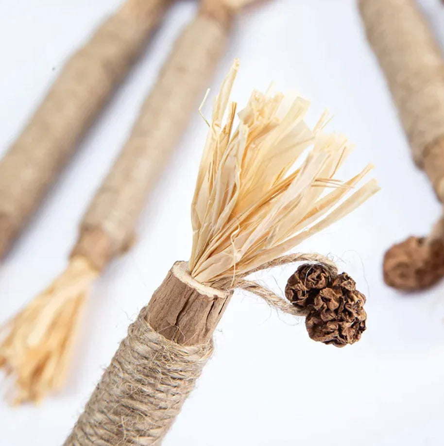 CatStick – Healthy cat teeth and fun play