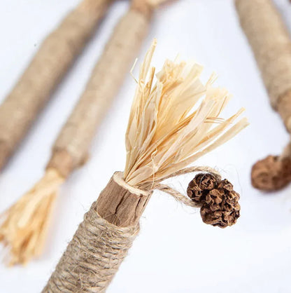 CatStick – Healthy cat teeth and fun play