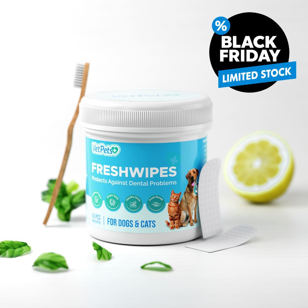 FreshWipes Kit – Protects Against Dental Diseases