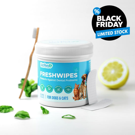 FreshWipes Kit – Protects Against Dental Diseases