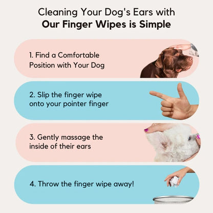 EarWipes Kit - Protects against ear problems.