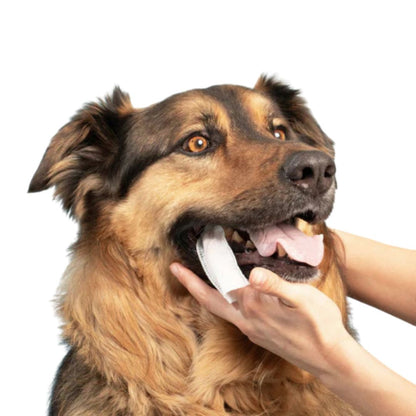 FreshWipes Kit – Protects Against Dental Diseases