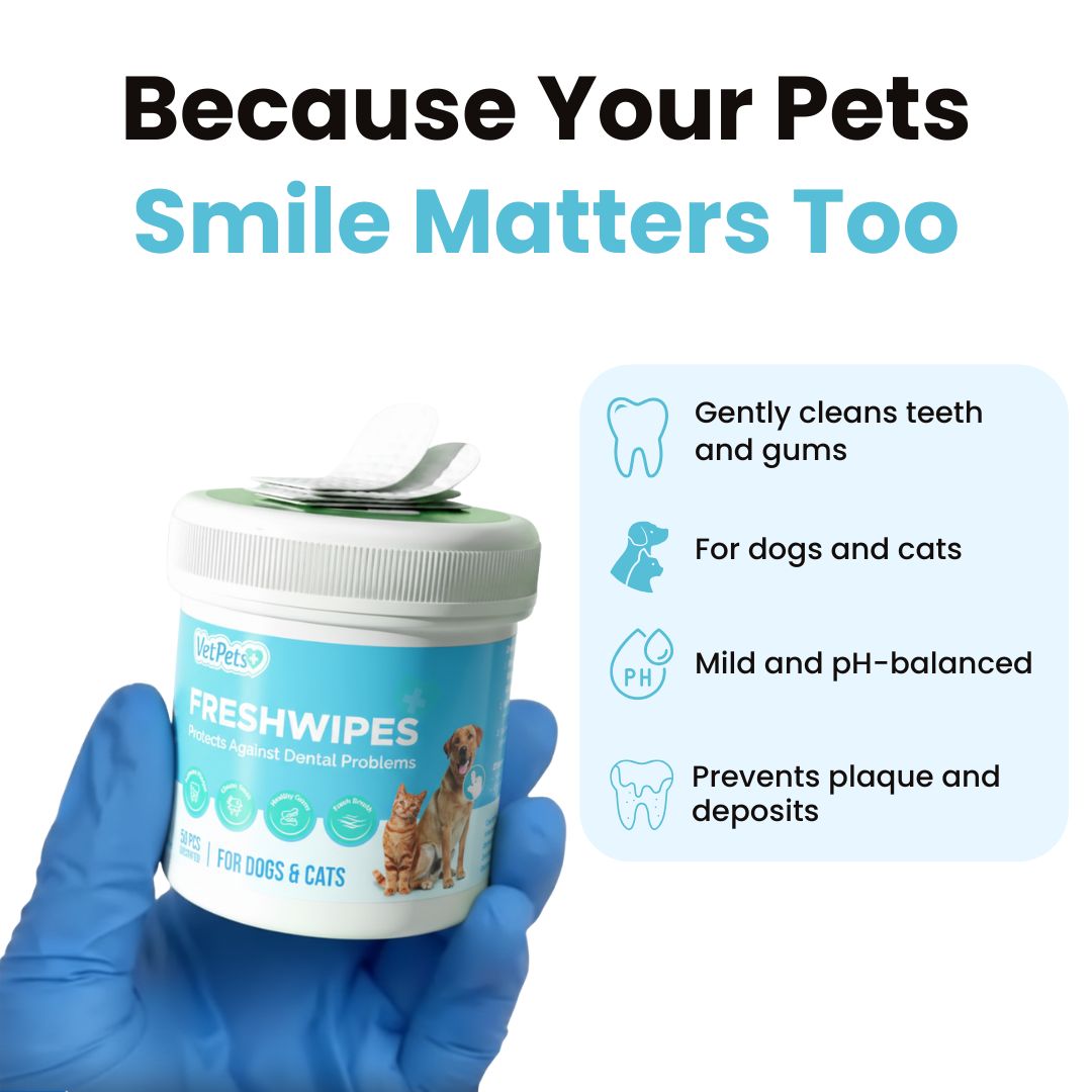 FreshWipes Kit – Protects Against Dental Diseases