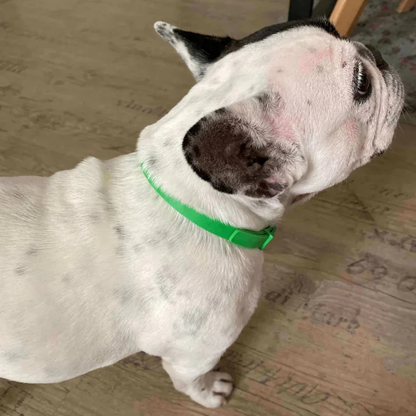 Tick Stop - Keeps Ticks Away Safely