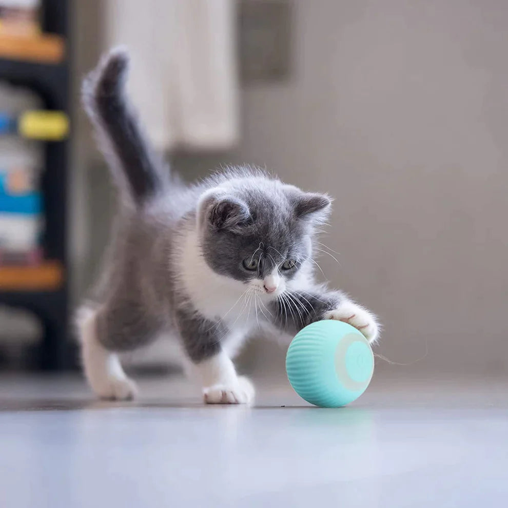 LuckyBall – The Smart Pet Toy