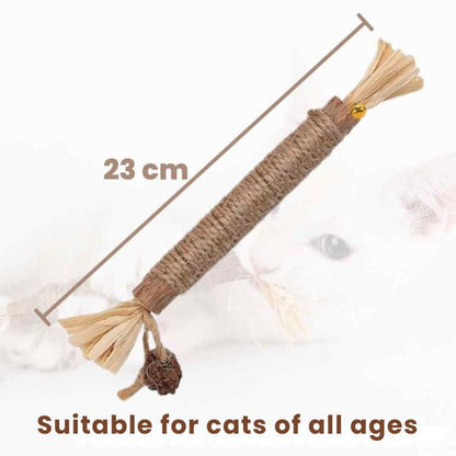 CatStick – Healthy cat teeth and fun play