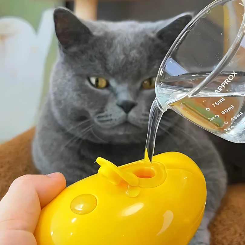 SpaBrush 3 in 1 - Comfortable Steam