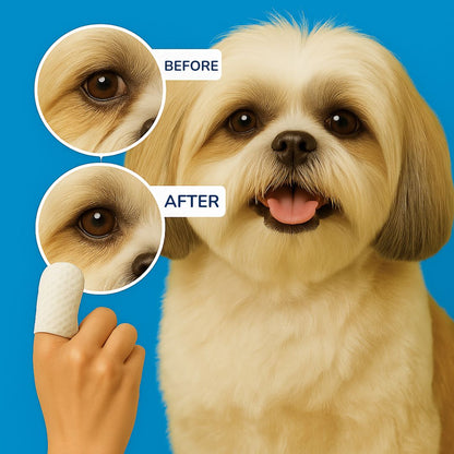 EyeWipes Kit – Protects against eye problems.