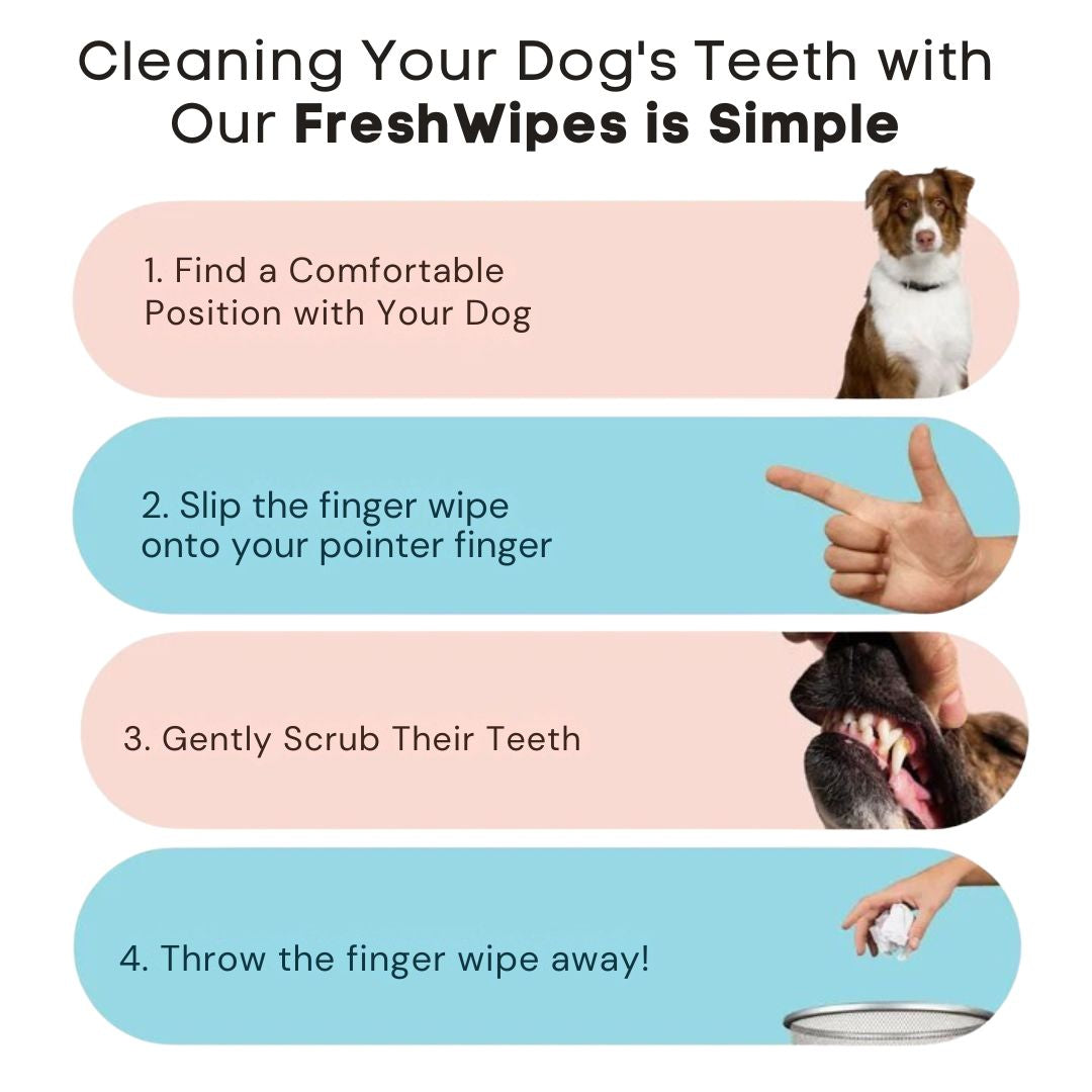 FreshWipes Kit – Protects Against Dental Diseases