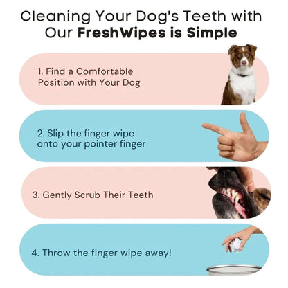 FreshWipes Kit – Protects Against Dental Diseases