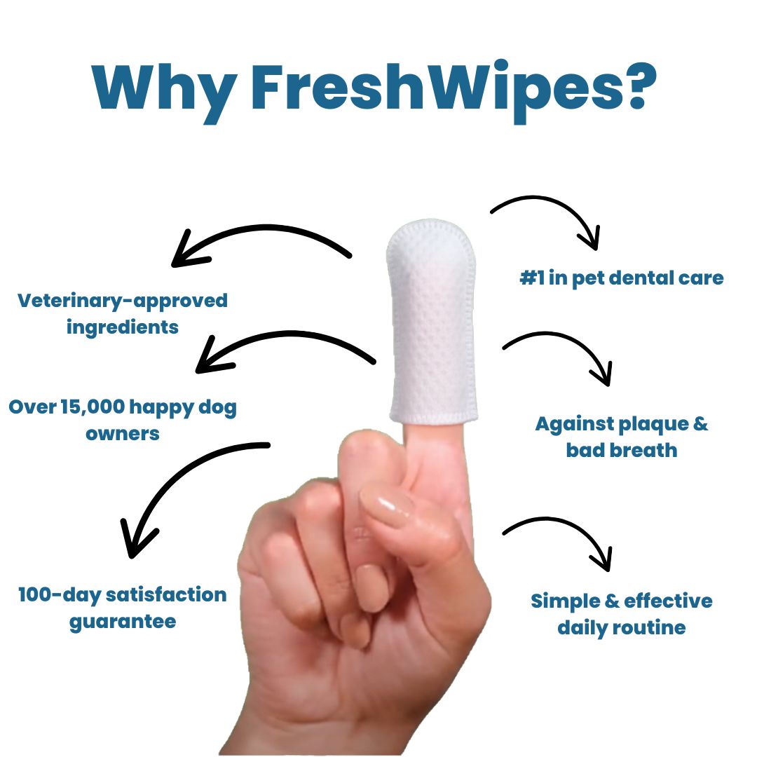 FreshWipes Kit – Protects Against Dental Diseases