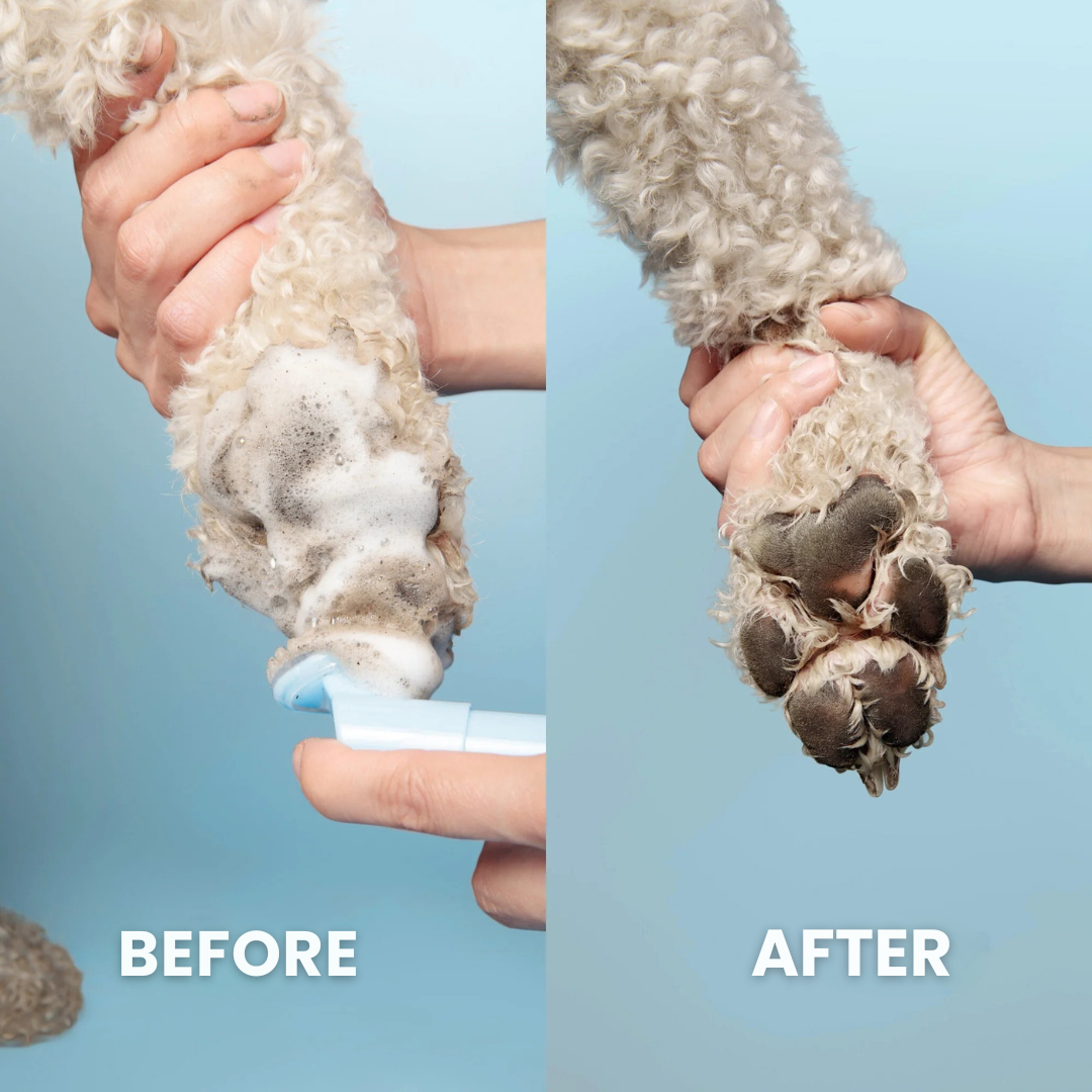 FreshFoam – Gentle Paw Cleanser for Dogs & Cats