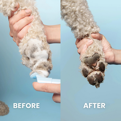FreshFoam – Gentle Paw Cleanser for Dogs & Cats