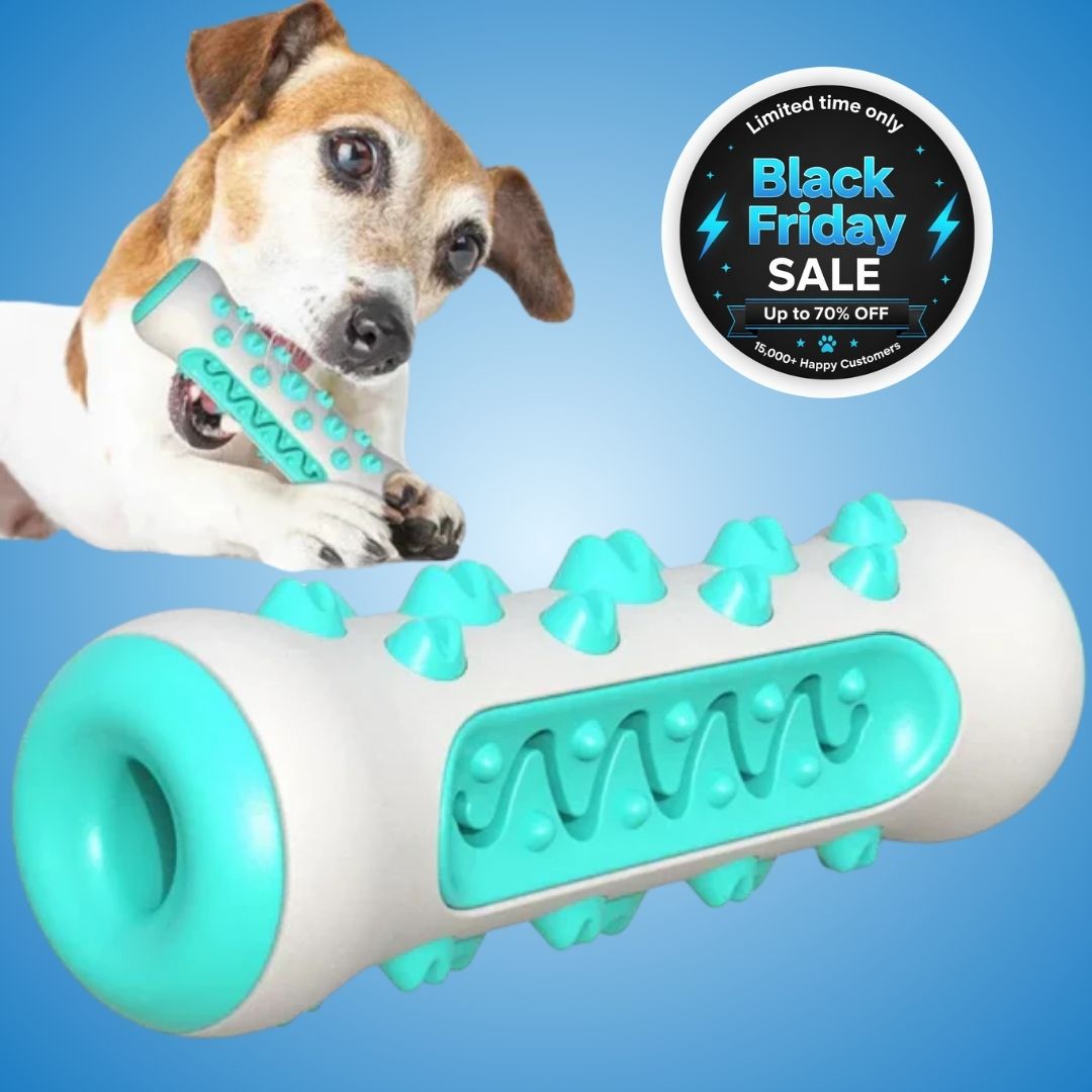 BrightBite - Your Dog's Own Toothbrush